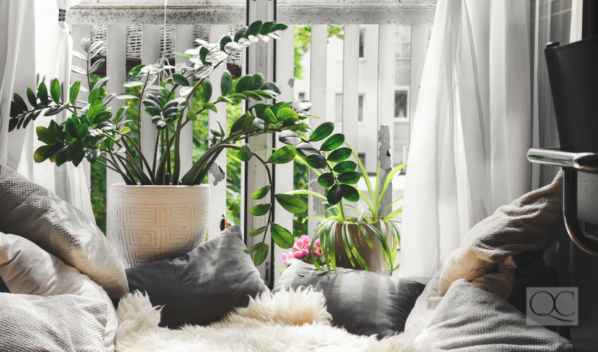 houseplants as decor for interior decorating home