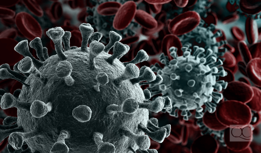 Coronavirus 2019-nCov novel coronavirus concept resposible for asian flu outbreak and coronaviruses influenza as dangerous flu strain cases as a pandemic. Microscope virus close up. 3d rendering.