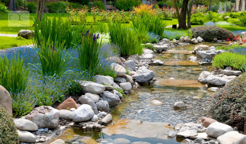 garden with pond in asian style