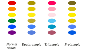 5 Factors That Affect Color Perception - QC Design School